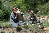 ENFANT ET CHIEN 459